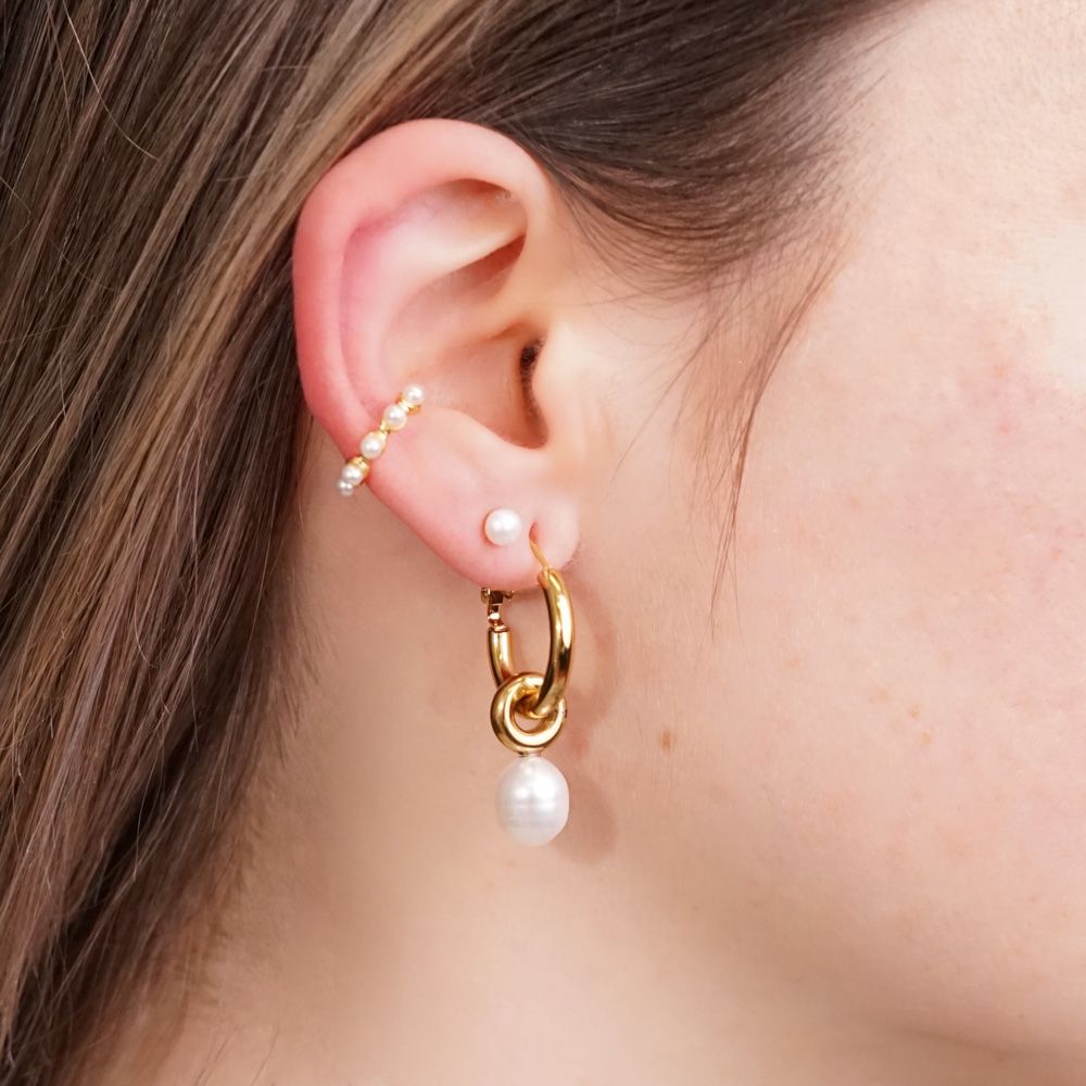 Ohrringe "Hanging Pearl" Edelstahl 14K vergoldet in zwei Farben